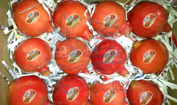 Pomegranate Export